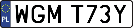 WGMT73Y