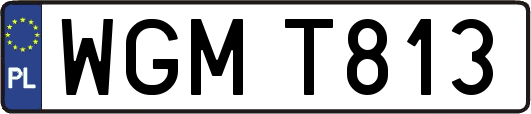 WGMT813
