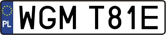 WGMT81E