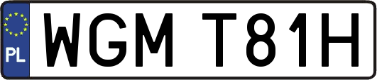 WGMT81H