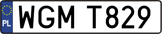 WGMT829