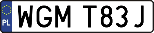 WGMT83J