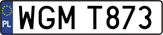WGMT873