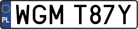 WGMT87Y