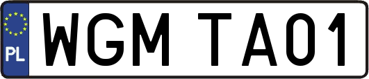 WGMTA01