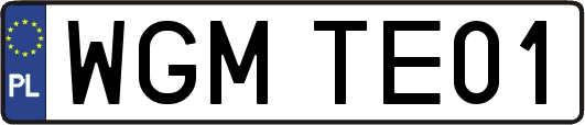 WGMTE01