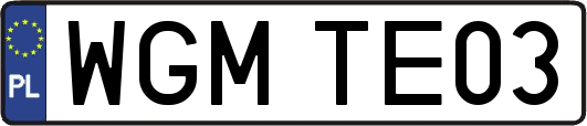 WGMTE03