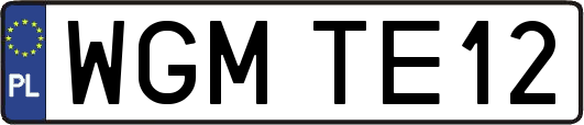 WGMTE12