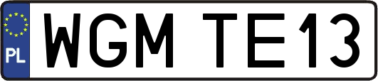 WGMTE13