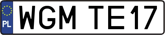 WGMTE17