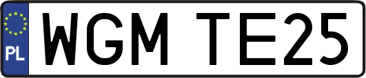 WGMTE25