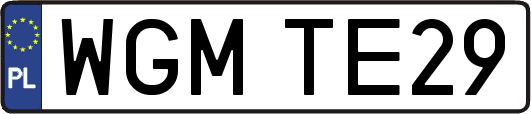 WGMTE29