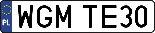 WGMTE30