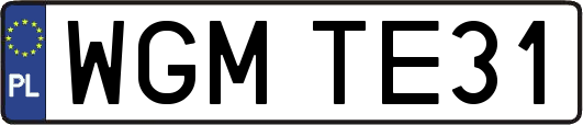 WGMTE31