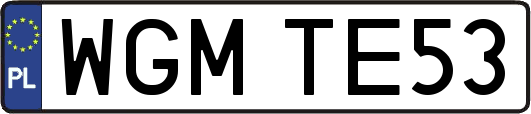 WGMTE53