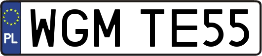 WGMTE55
