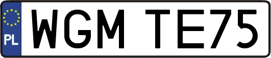 WGMTE75