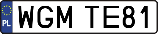 WGMTE81