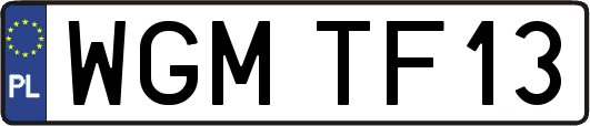 WGMTF13