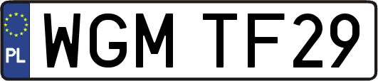 WGMTF29