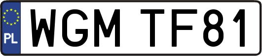 WGMTF81