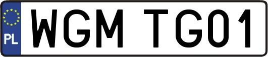 WGMTG01