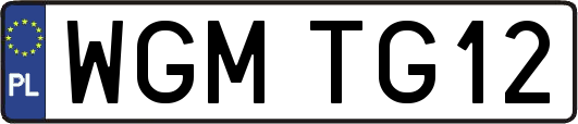 WGMTG12