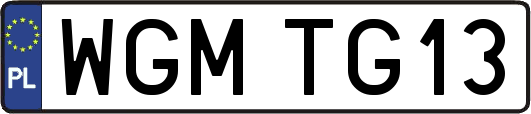 WGMTG13