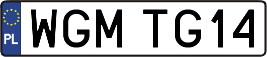 WGMTG14