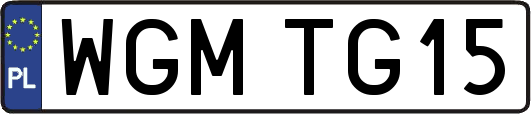 WGMTG15