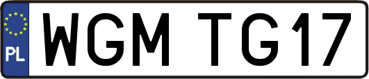 WGMTG17