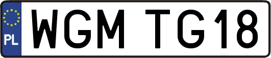 WGMTG18