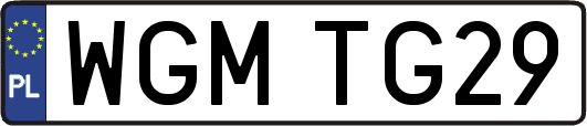 WGMTG29