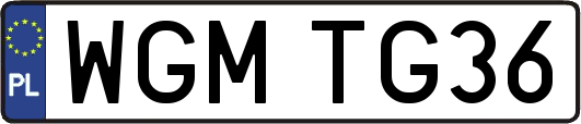 WGMTG36