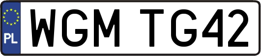 WGMTG42