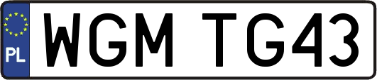 WGMTG43