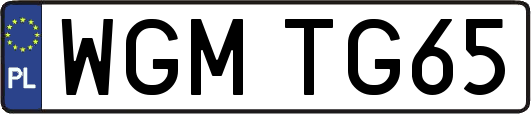 WGMTG65