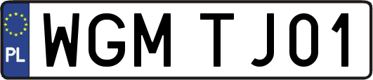 WGMTJ01