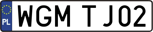 WGMTJ02