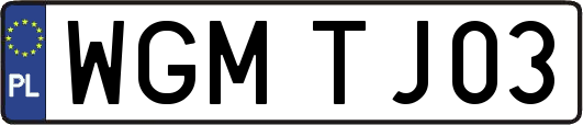 WGMTJ03