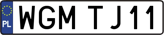WGMTJ11