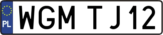 WGMTJ12
