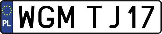 WGMTJ17
