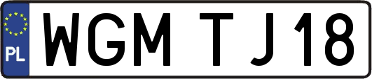WGMTJ18