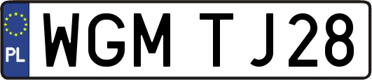 WGMTJ28