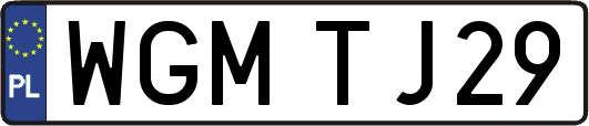 WGMTJ29