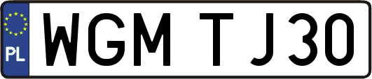 WGMTJ30