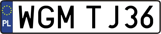 WGMTJ36