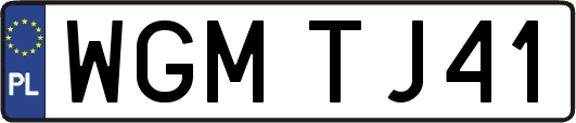 WGMTJ41