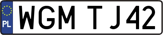 WGMTJ42